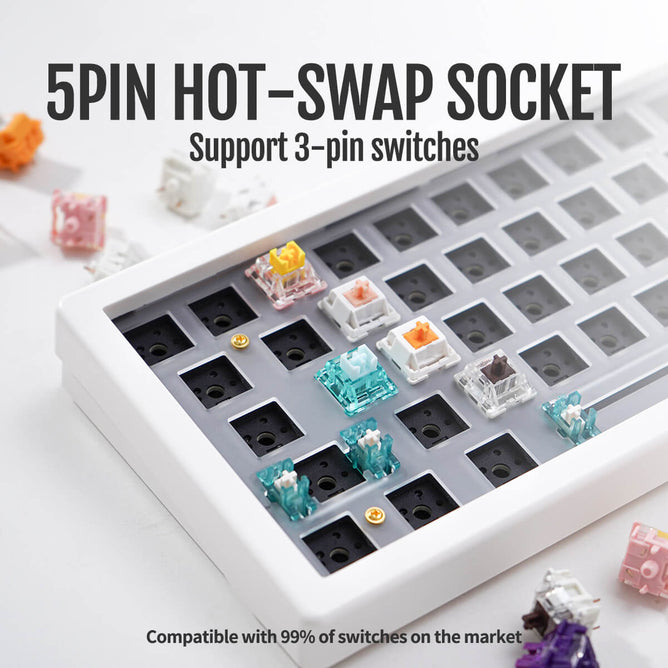 Keyboards – EL3BS7
